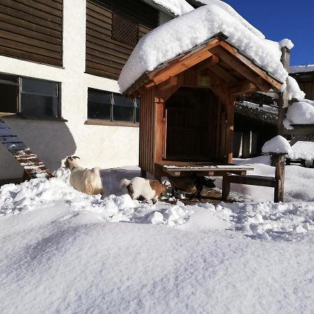 Apartament Zweimaederlhaus Bad Mitterndorf Zewnętrze zdjęcie