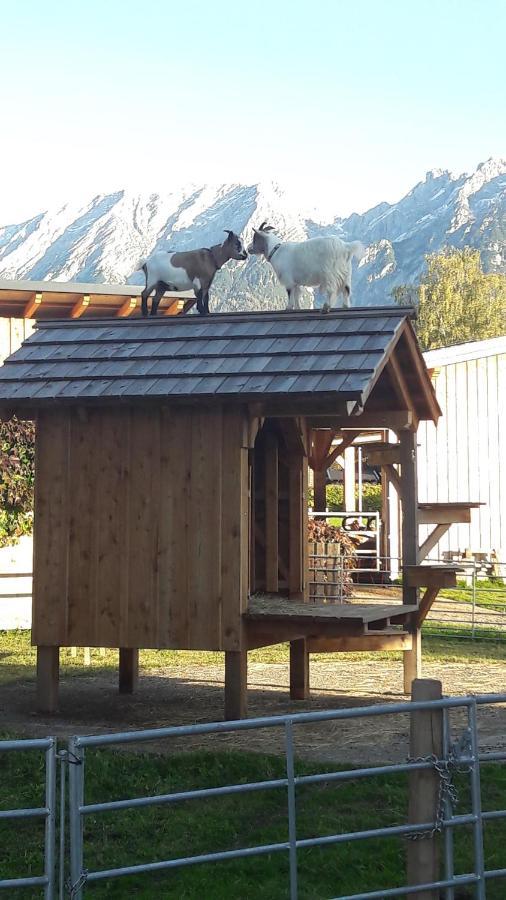 Apartament Zweimaederlhaus Bad Mitterndorf Zewnętrze zdjęcie