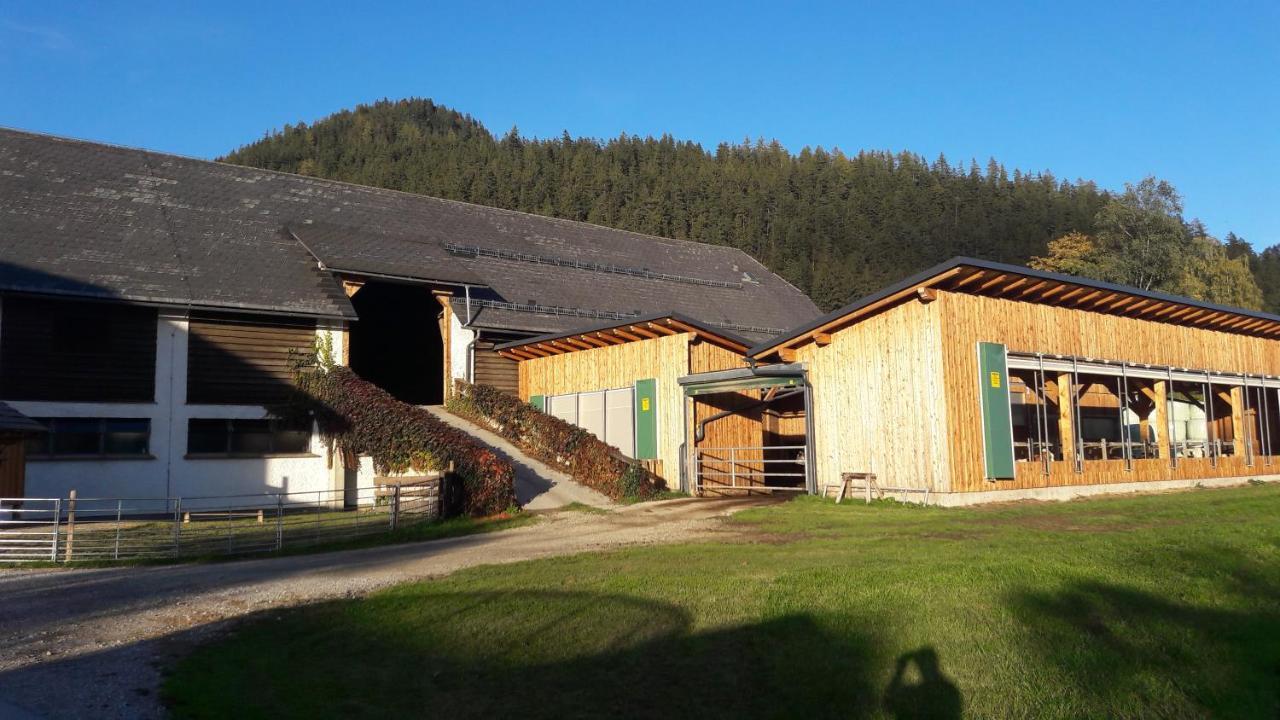 Apartament Zweimaederlhaus Bad Mitterndorf Zewnętrze zdjęcie