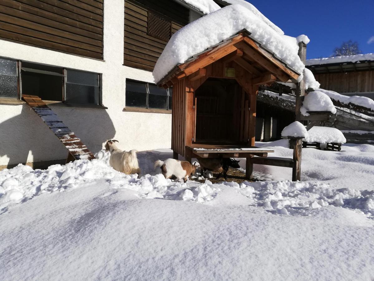 Apartament Zweimaederlhaus Bad Mitterndorf Zewnętrze zdjęcie
